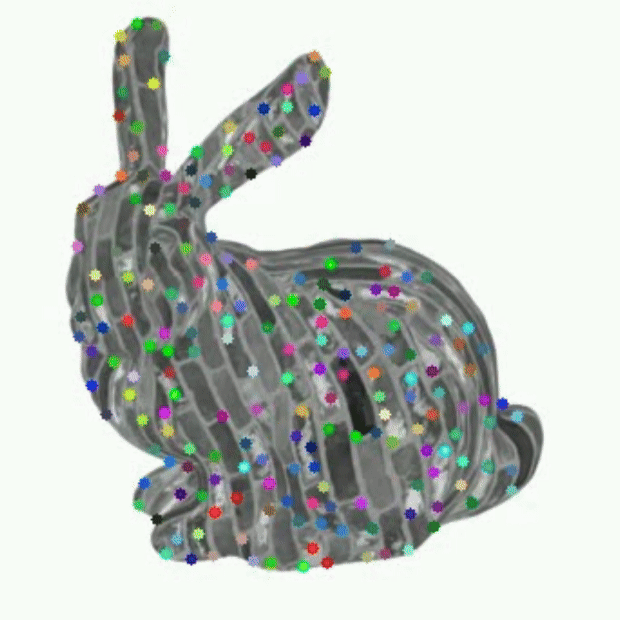 Tracked feature points of bunny model