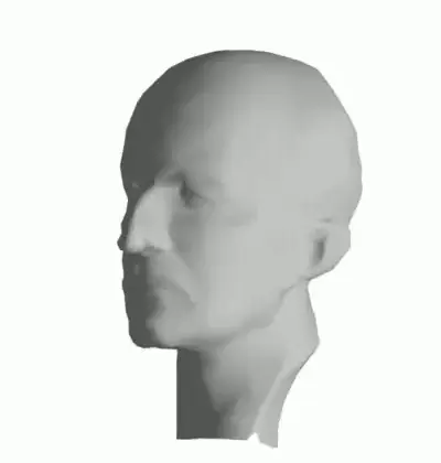 3D mesh of head