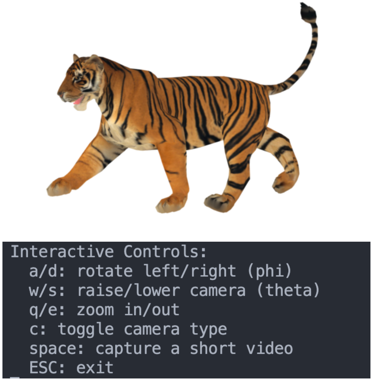 obtained from capture_motion.py